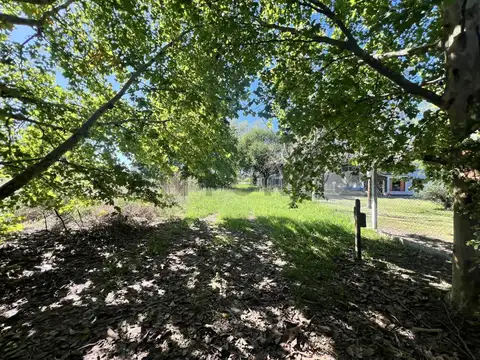 Venta campo/ terreno, Apto desarrollo. Calle 135 y 443 bis