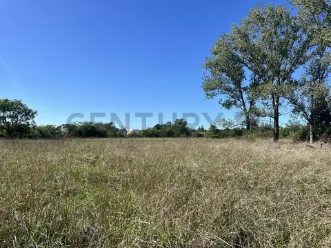 135 y 433 bis 5100, Piso 0