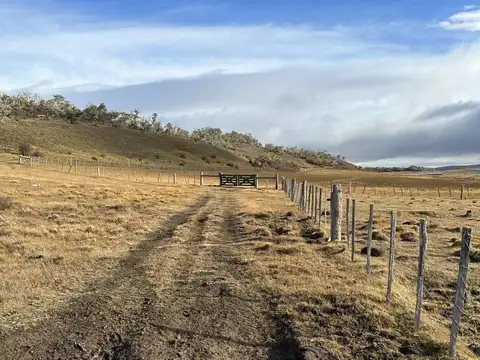 Campo en pre cordillera Fueguina, Dto de Tolhuin (10.000 ha)