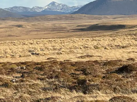 Campo en pre cordillera Fueguina, Dto de Tolhuin (10.000 ha)