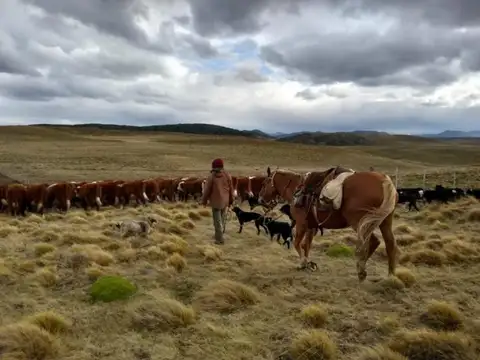 Dto Tolhuin, Tierra del Fuego