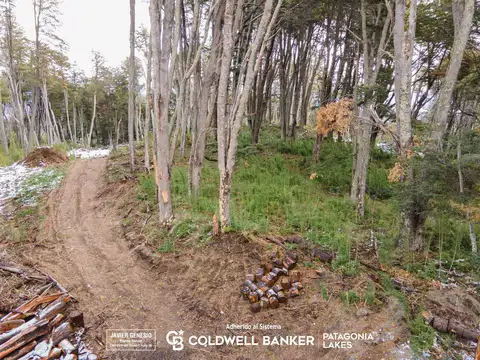 VENTA Lote/Terreno Financiado 1331m2 UF 6 Faldeo del bayo Villa La Angostura