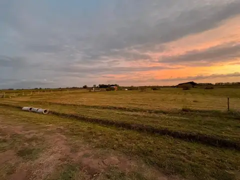 Campo Zarate