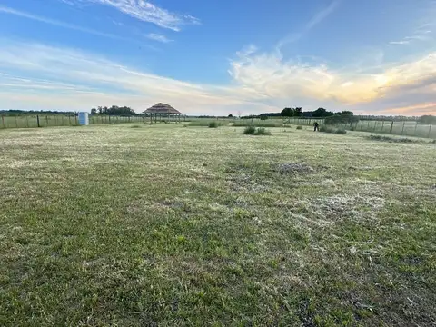Campo Zarate. C: 11267v2