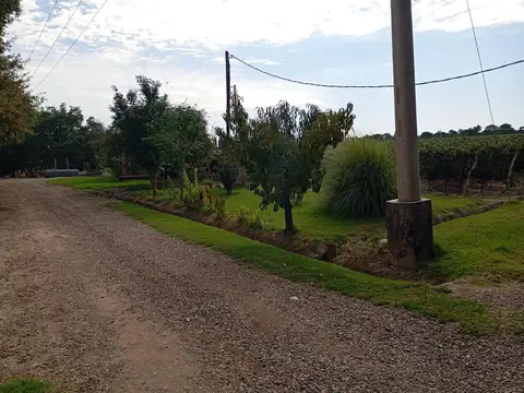 FINCA EN VENTA EN MEDRANO