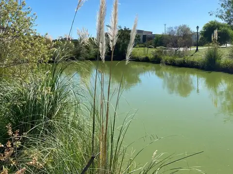 San Ramón - Pilar Del Este