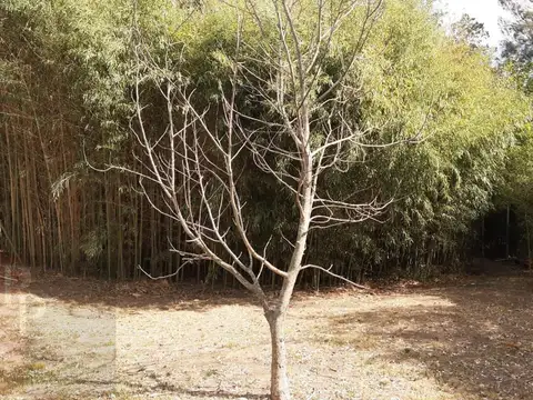 Terreno en Venta, FOS 0,6