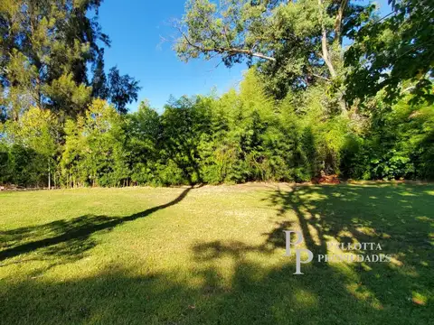 Terreno en Venta 20  mts Frente