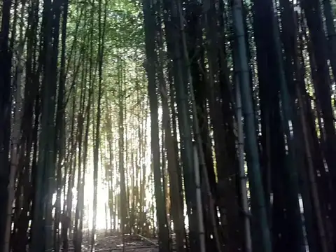 Terreno en Venta 36  mts Fondo