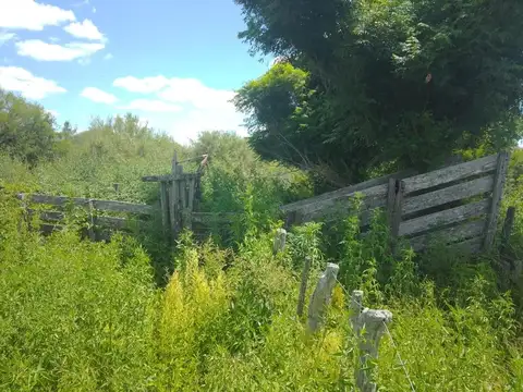 Campo en Venta Ganadero