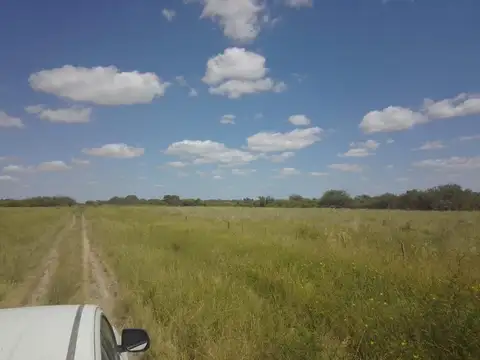 Ruta 2