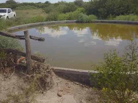 CAMPO GANADERO EN LA CABRAL, SAN CRISTOBAL