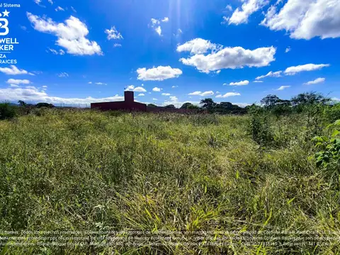 BOSQUE CEL CEIBAL II