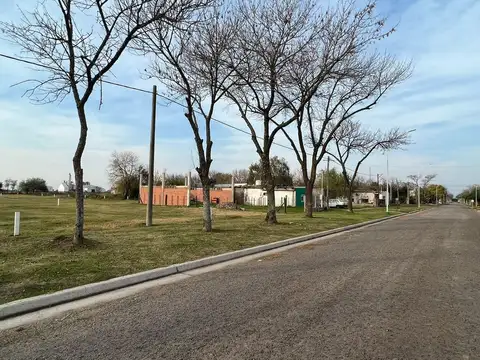 Lisboa 800
