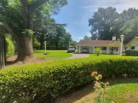 Araucanos y Aconcagua
