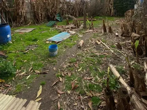 Terreno en Venta 29  mts Fondo