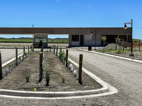 Terreno en Venta en Tupungato, Mendoza