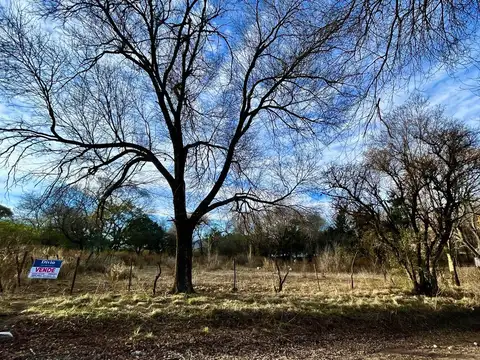 2182  LOTE SEXTO LOTEO.