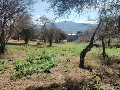 Las Urracas
