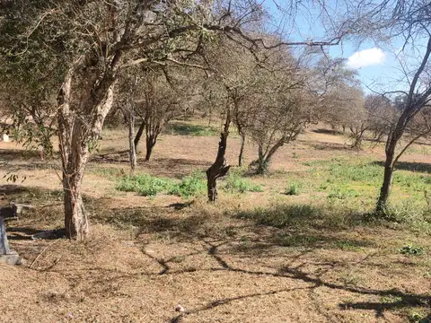 Terreno en Venta  Lucinda Norte