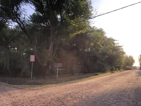 Rita De Ibarlucea  150