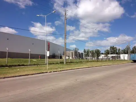 Galpon en Alquiler A Estrenar