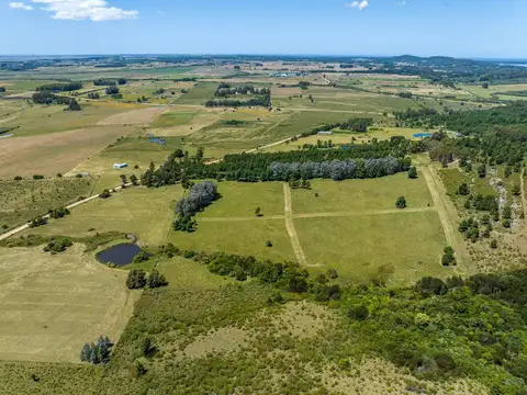 Campo en Venta de 7,80  ha