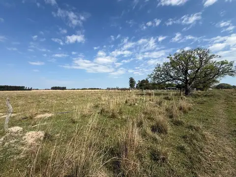 Campo de 5 has en venta Colonia Porvenir