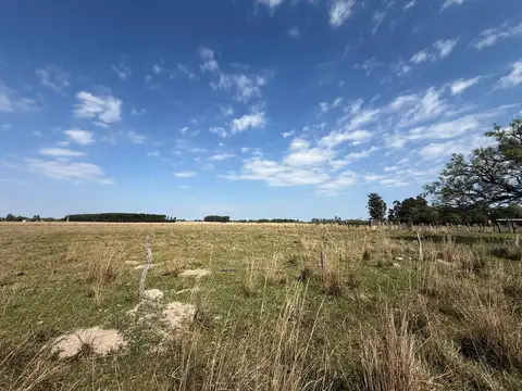 Campo de 5 has en venta Colonia Porvenir