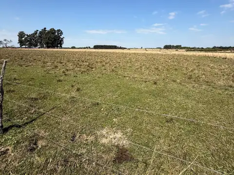 Campo de 5 has en venta Colonia Porvenir