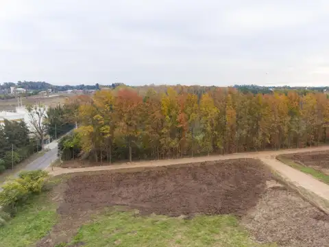 Terreno en Venta de 300,0 m2