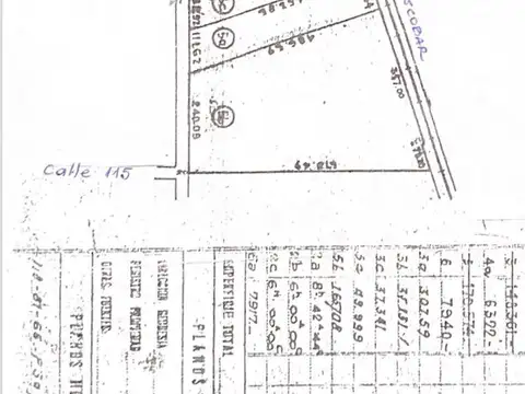 CAMPO EN VENTA LOMA VERDE