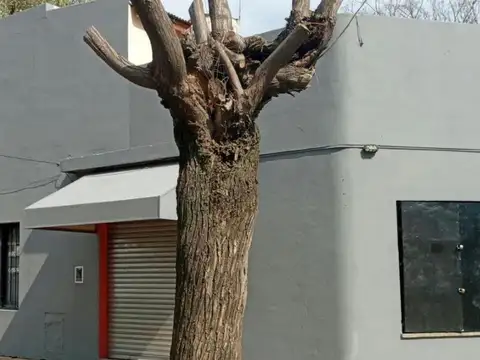 DEPARTAMENTO CON LOCALES