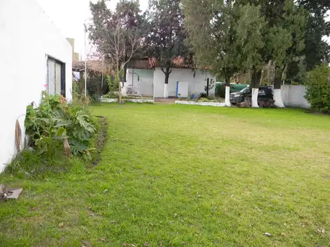 Federico Chopin 700