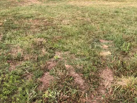 San Sebastian Area 13 100