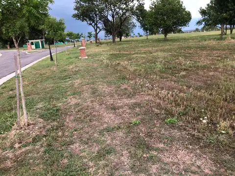 San Sebastian Area 13 100