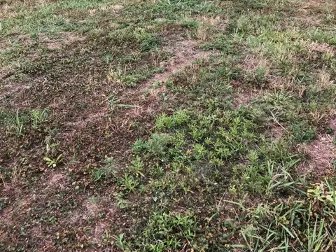 Terreno en Venta de 640,0 m2