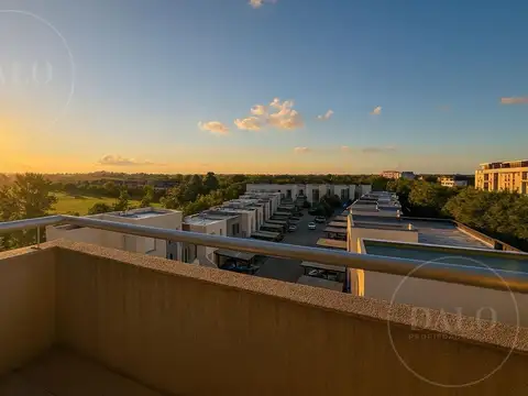 El Palmar, Homes II