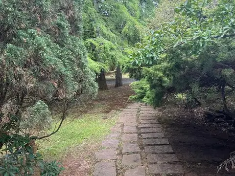 Casa en Venta 15 años