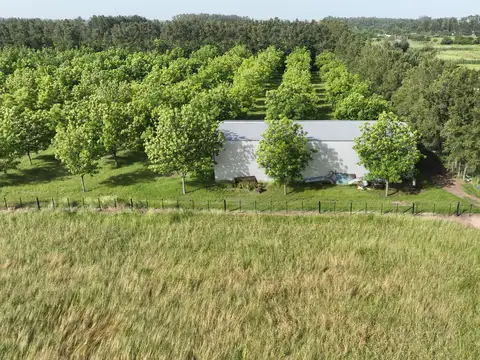 Chacra Urbana en Diego Gaynor