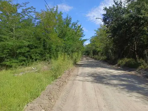 Lote arbolado de 788 m² en Anisacate — A 500 m del río, con servicios y escritura