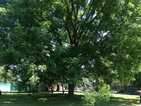 Quinta en Venta en Ingeniero Maschwitz, USD 178.000