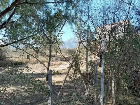 Terreno en Venta de 555,0 m2