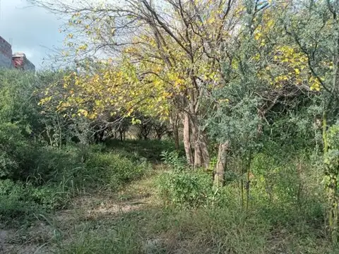 Terreno en Venta de 555,0 m2