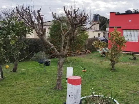 Campagnole y Avenida Alberti