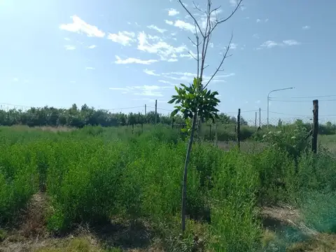 VENTA DE LOTE BARRIO BRISAS ANDINAS