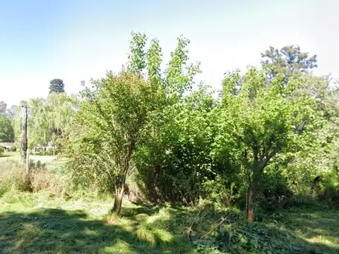 Lote grande 2978 m2 a 2 minutos de la estación de Moreno