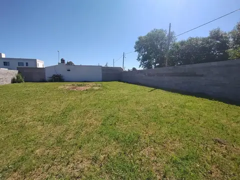 Salto 600