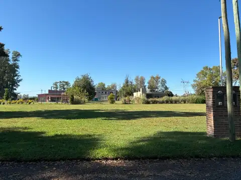 Las Casuarinas 400