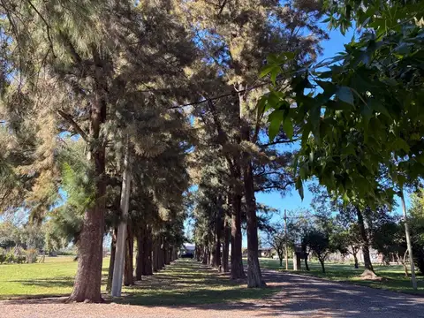Terreno en Venta de 800,0 m2